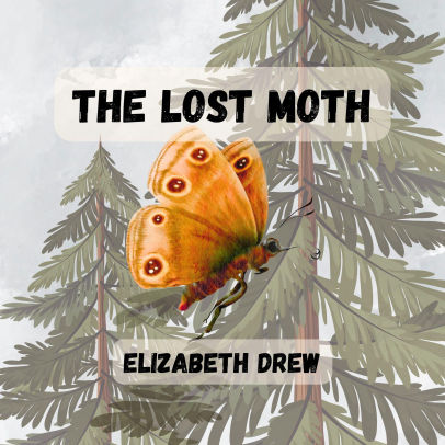 The Lost Moth