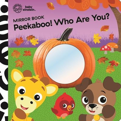 Peekaboo! Who Are You? Mirror Book