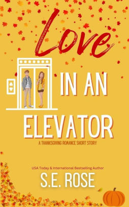 Love in an Elevator