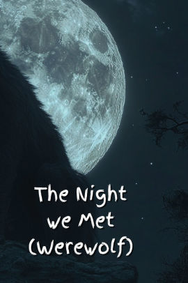 The Night we Met