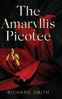 The Amaryllis Picotee