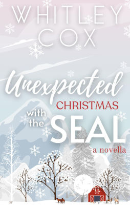 Unexpected Christmas with the SEAL