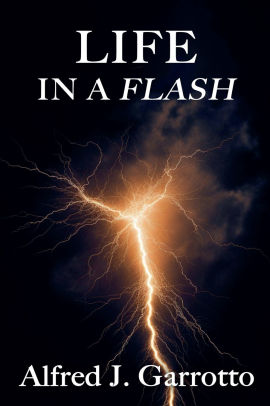 Life in a Flash
