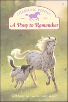 Pony to Remember