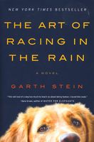 The Art of Racing in the Rain