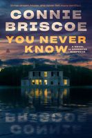 Connie Briscoe's Latest Book