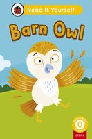 Barn Owl