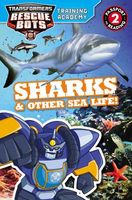 Sharks & Other Sea Life!