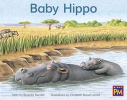 Baby Hippo