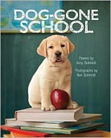 Dog-Gone School