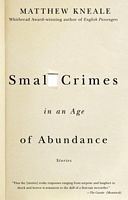 Small Crimes in an Age of Abundance