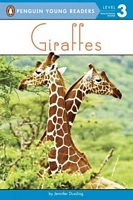 Giraffes