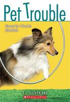 Smarty-pants Sheltie