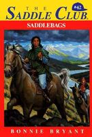 Saddlebags