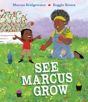 Marcus Bridgewater's Latest Book