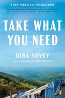 Idra Novey's Latest Book