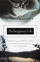 An Imaginary Life