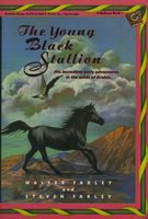 The Young Black Stallion