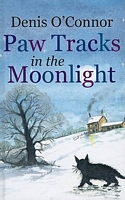 Paw Tracks in the Moonlight