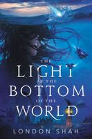 The Light at the Bottom of the World