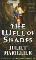 The Well of Shades