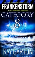 Category 8