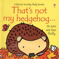 That's Not My Hedgehog