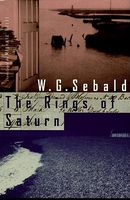 The Rings of Saturn