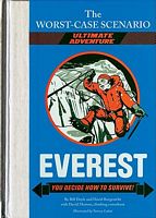 Everest: You Decide How to Survive!