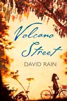 David Rain's Latest Book