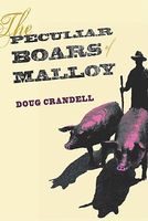 The Peculiar Boars of Malloy