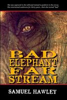 Bad Elephant Far Stream