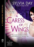 A Caress of Wings: A Novella