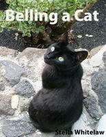 Belling a Cat