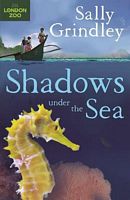 Shadows Under the Sea