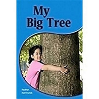 My Big Tree