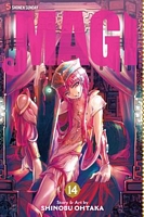 Magi, Vol. 14