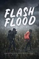 Flash Flood