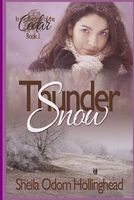 Thundersnow