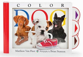 Color Dog