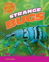 Strange Bugs