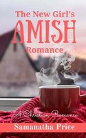 The New Girl's Amish Romance