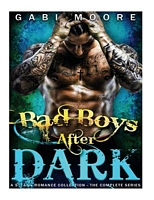 Bad Boys After Dark