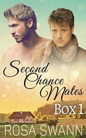 Second Chance Mates Box 1