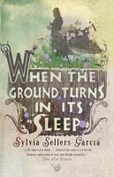 Sylvia Sellers-Garcia's Latest Book