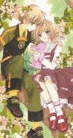 Cardcaptor Sakura Collector's Edition 3