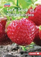 Let's Look at Strawberries