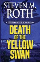 Steven M. Roth's Latest Book