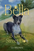 Bella, the journey of A Blind Street Dog