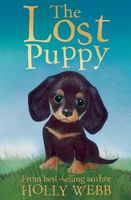 The Lost Puppy